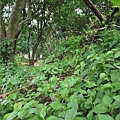 2012-04-23-13-46_412