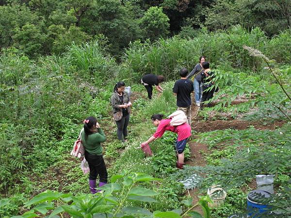 2013-5-2 下午3-030