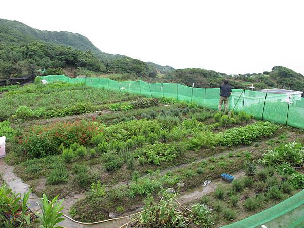 2013-5-1 下午2-043