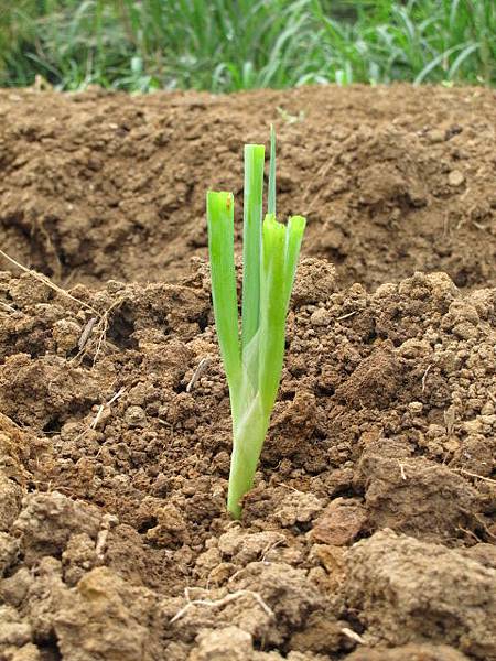 2013-5-9 下午3-004