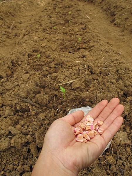 2013-5-9 下午3-013