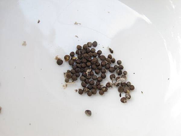 2013-5-9 下午3-053