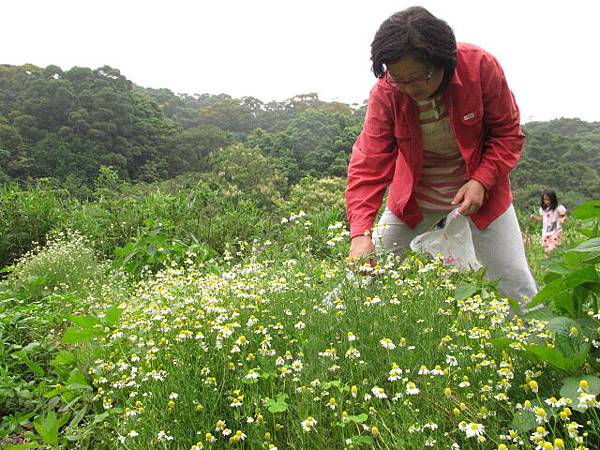 2013-5-9 下午12-006