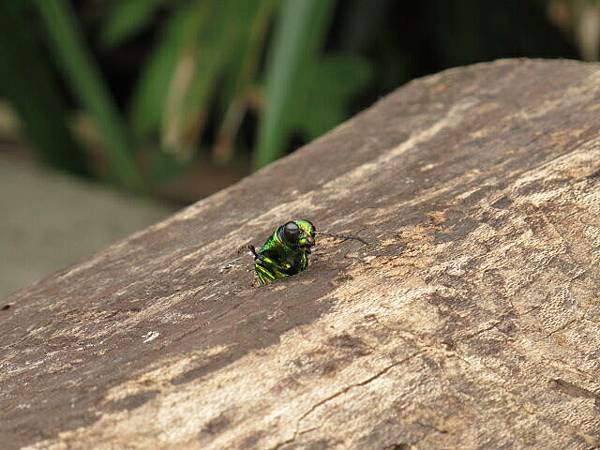 2013-5-9 下午12-013