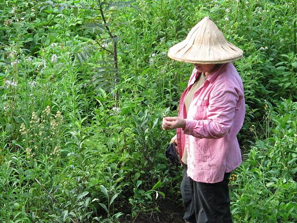 2013-5-14 下午4-07