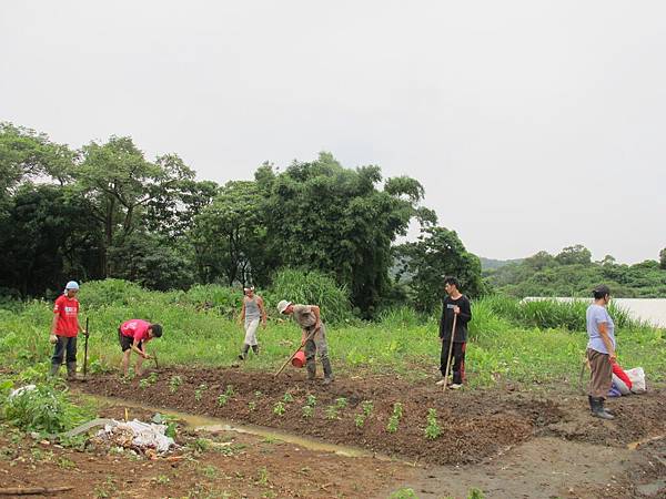 2013-06-04 112500.jpg