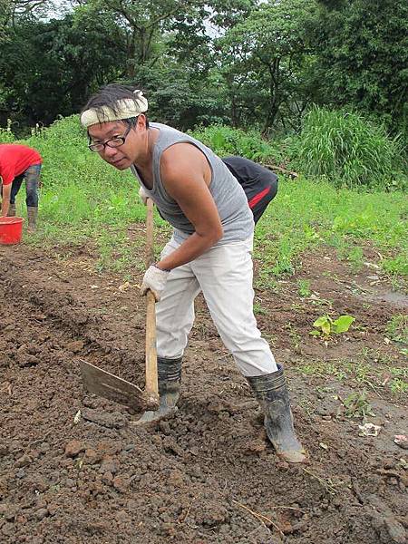 2013-06-04 115205.jpg