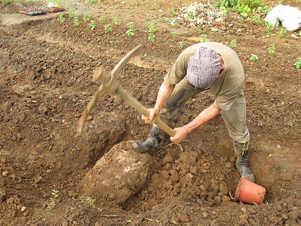 2013-6-4 下午4-008.JPG