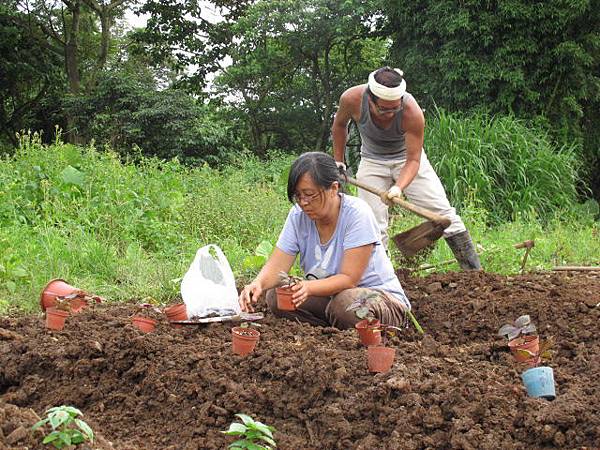 2013-6-4 下午4-39.JPG