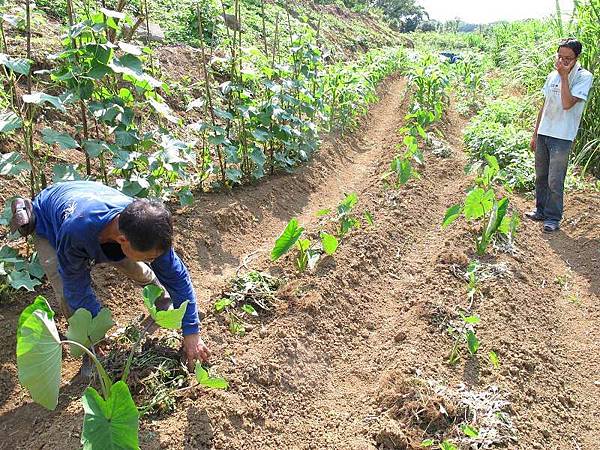 2013-06-18 152134.jpg