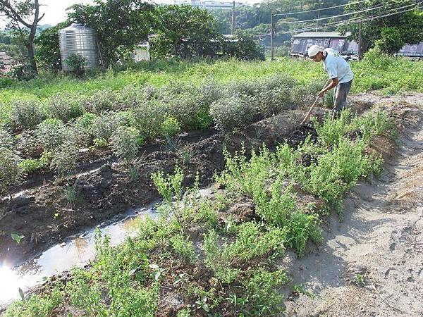 2013-06-18 162302.jpg