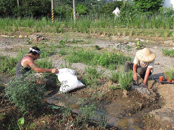 2013-06-18 164530.jpg