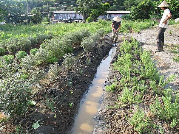 2013-06-18 170527.jpg