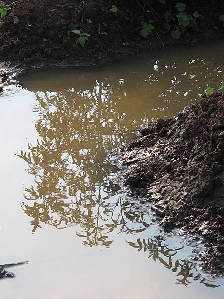 2013-06-18 171448.jpg