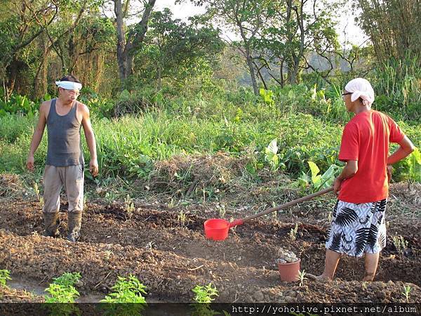 2013-07-30 174246.jpg