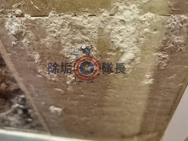 TattooSimulator_2020-07-30_16-48-19-894.jpg TattooSimulator_2020-07-30_16-48-19-894.jpg