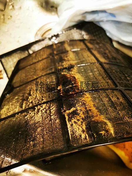 TattooSimulator_2020-08-03_14-00-40-030.jpg TattooSimulator_2020-08-03_14-00-40-030.jpg