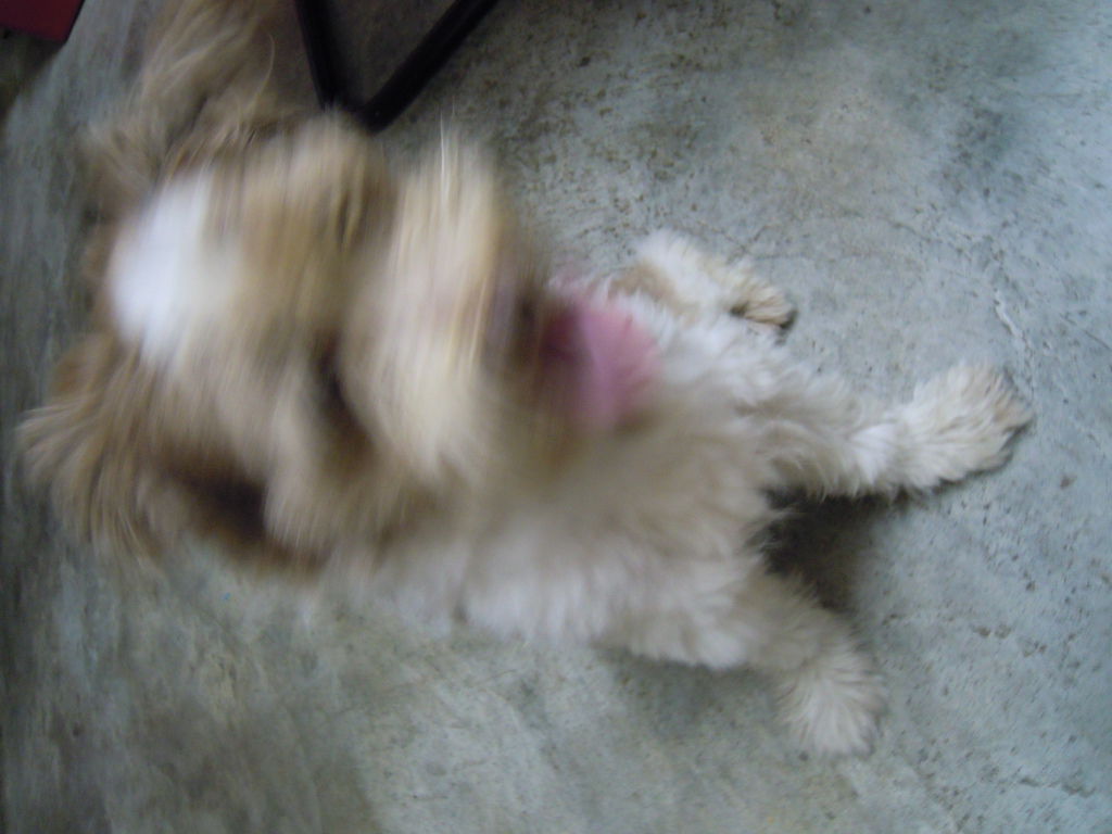 DSCN0011 DSCN0011