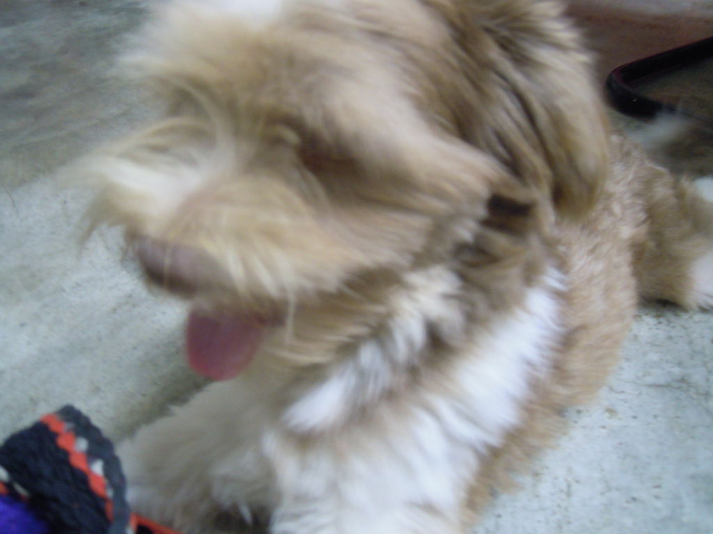 DSCN0012 DSCN0012