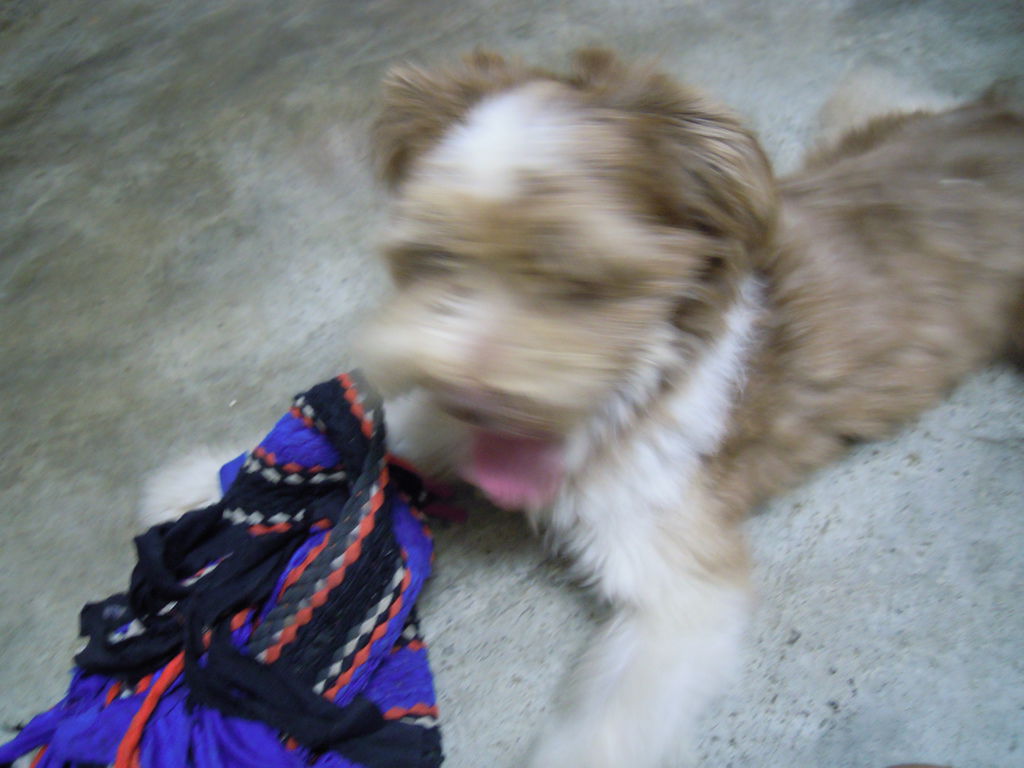 DSCN0013 DSCN0013