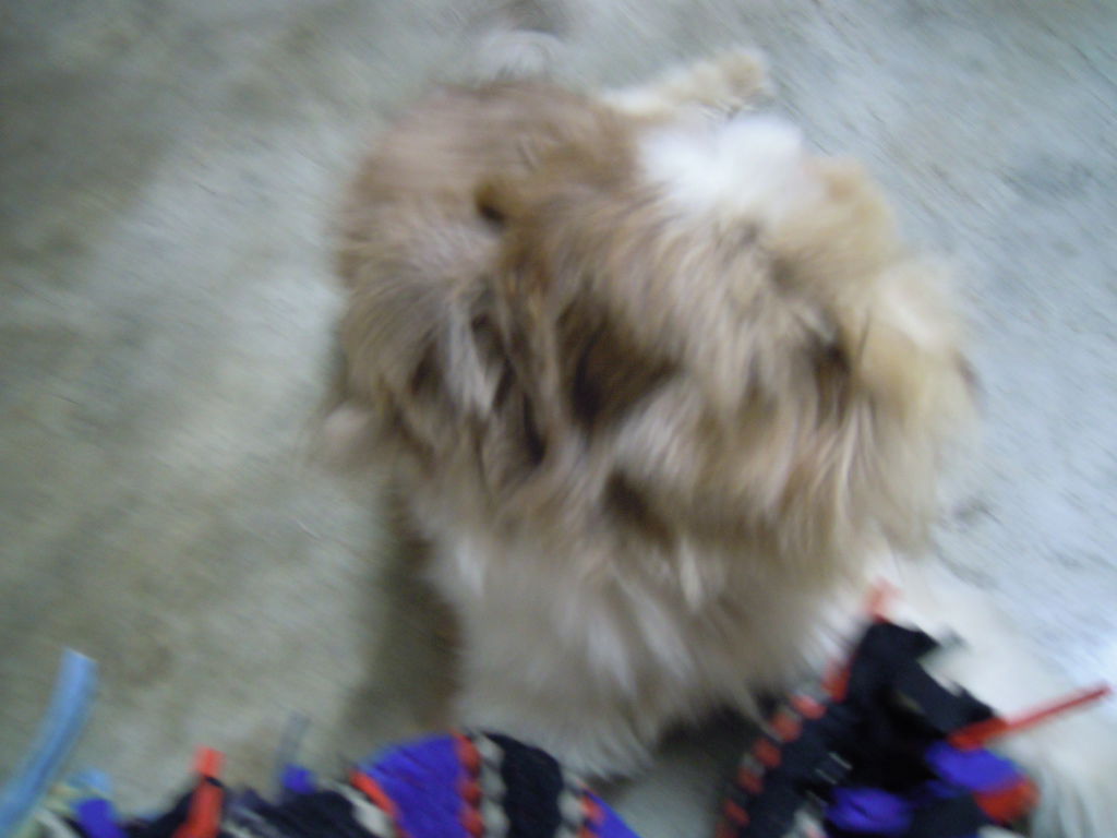 DSCN0014 DSCN0014