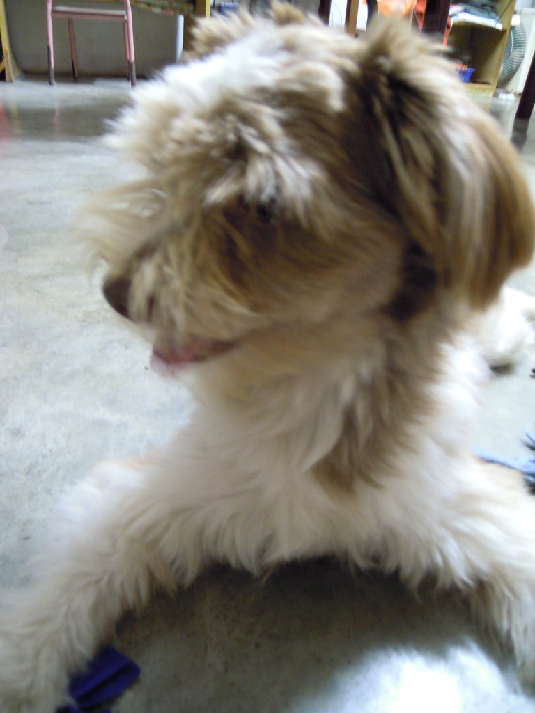 DSCN0015 DSCN0015