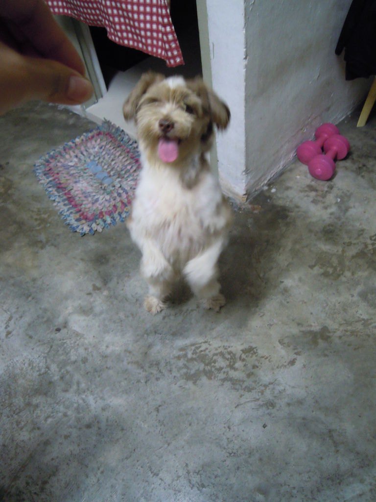 DSCN0016 DSCN0016