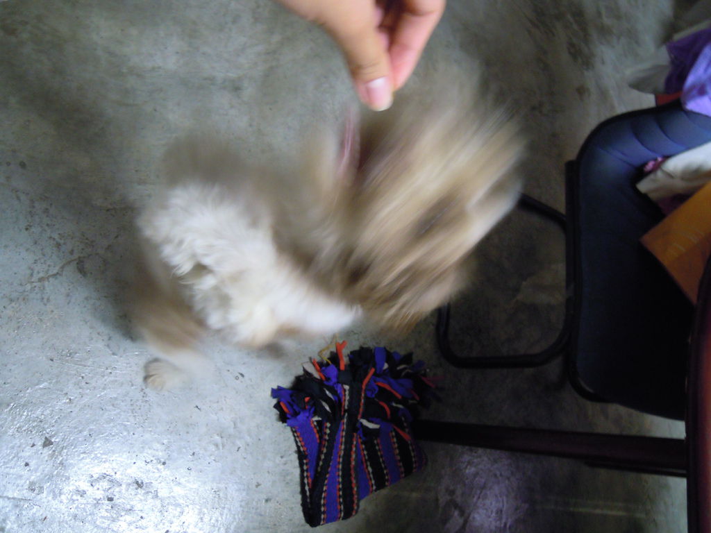DSCN0017 DSCN0017