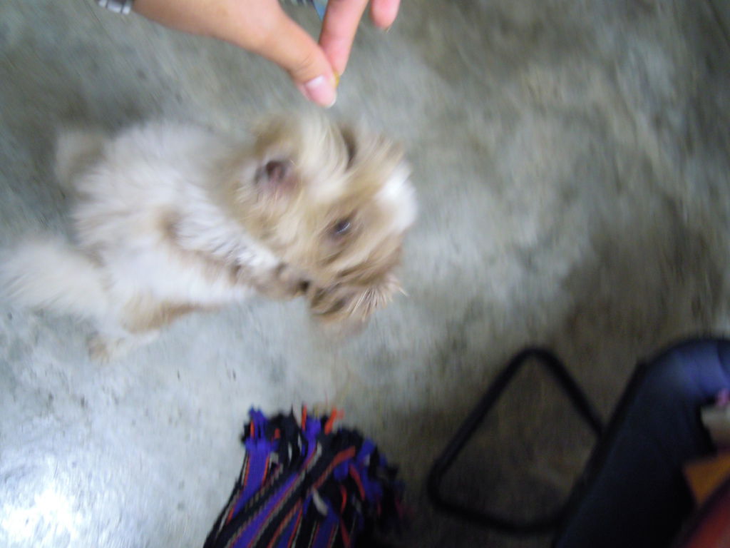 DSCN0018 DSCN0018