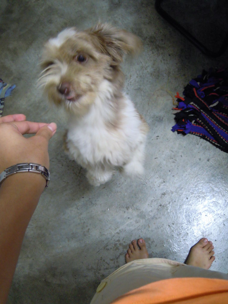 DSCN0019 DSCN0019