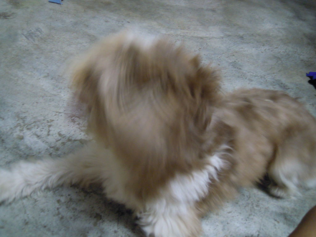 DSCN0021 DSCN0021