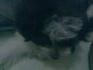 Image008 Image008