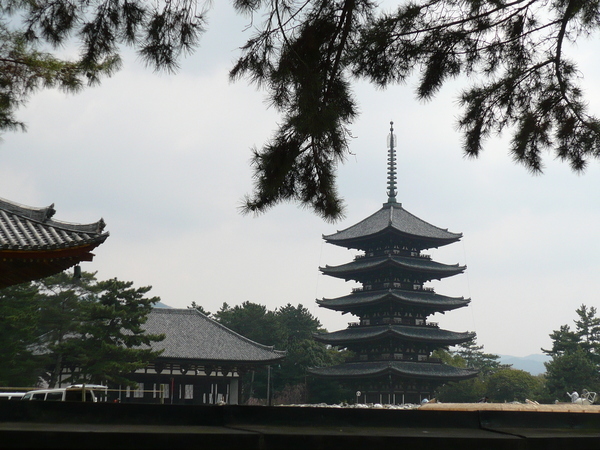 奈良公園