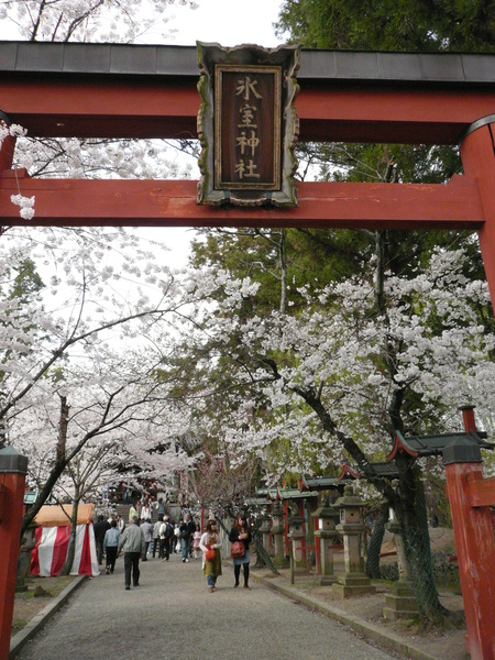 冰室神社