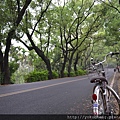 集集綠色隧道