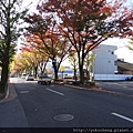 京都街道