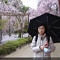 利用雨傘擋住滿滿的人潮