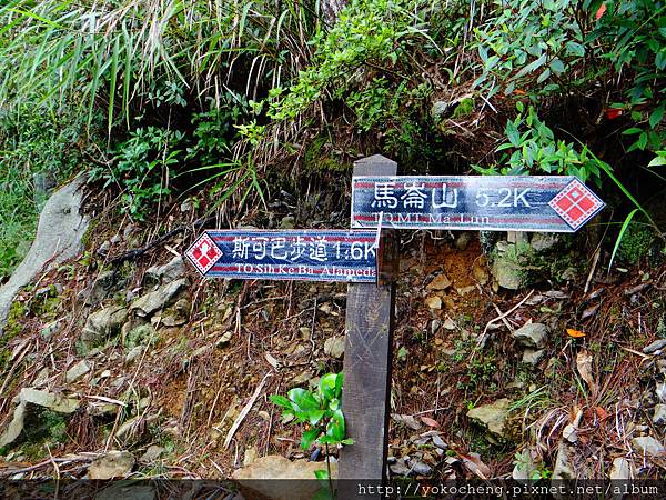 不攻頂，準備轉斯可巴步道回程