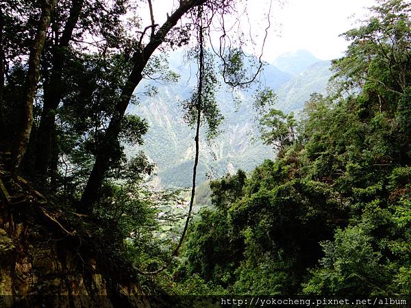 到這裡碰到其他登山客告知前方無法通行