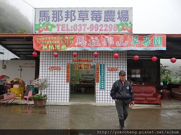 超深山的馬拉邦草莓園，老闆伯伯超熱情，還招待客家湯圓