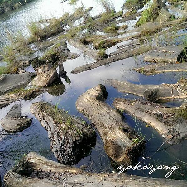 宜蘭林業文化園區 宜蘭林業文化園區