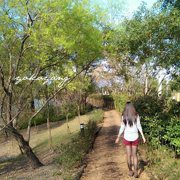 宜蘭林業文化園區 宜蘭林業文化園區