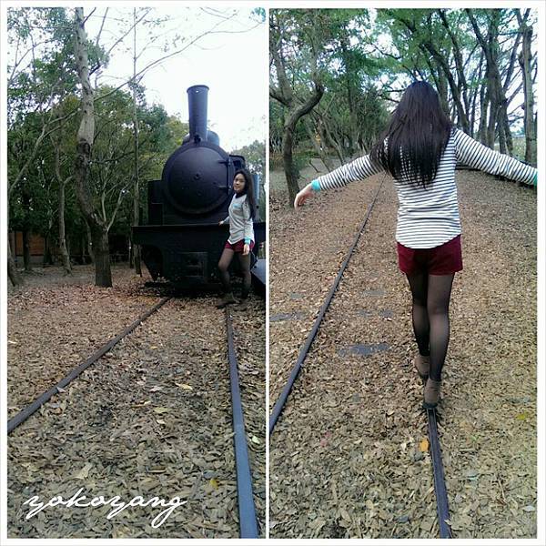 宜蘭林業文化園區 宜蘭林業文化園區