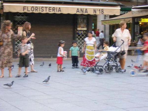 總有很多鴿子的Bib Lambla廣場