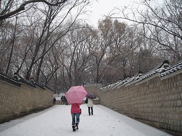 還好有去，下雪的後苑超美