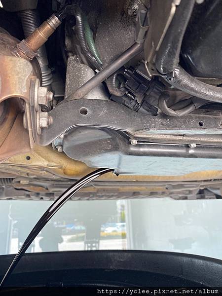 IMG_6908.jpeg IMG_6908.jpeg