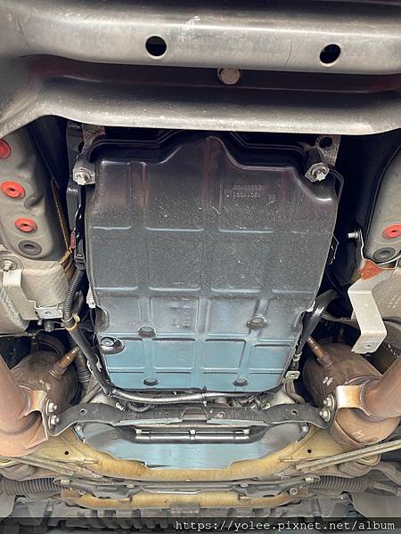 IMG_6907.jpeg IMG_6907.jpeg