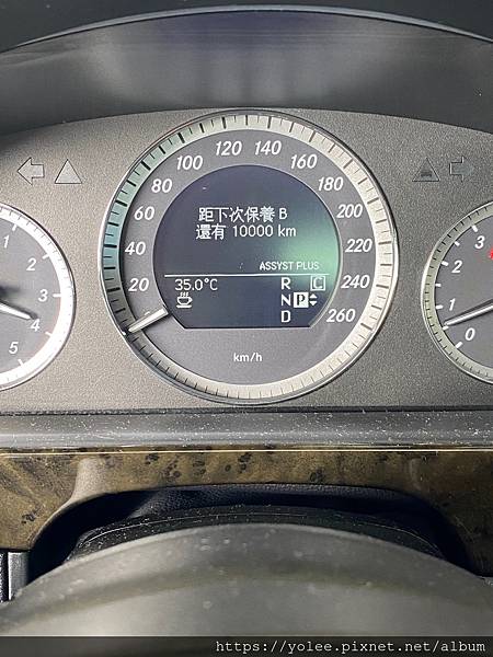 IMG_6920.jpeg IMG_6920.jpeg