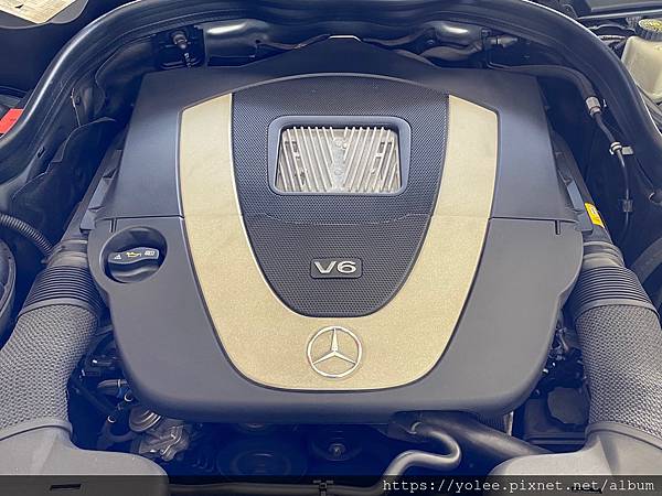 IMG_6919.jpeg IMG_6919.jpeg