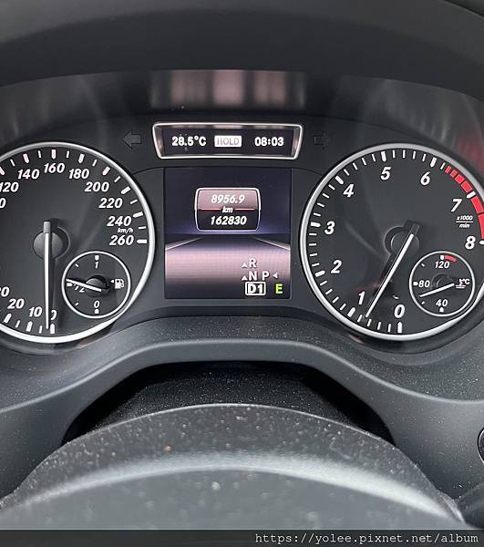 IMG_3518.jpeg IMG_3518.jpeg